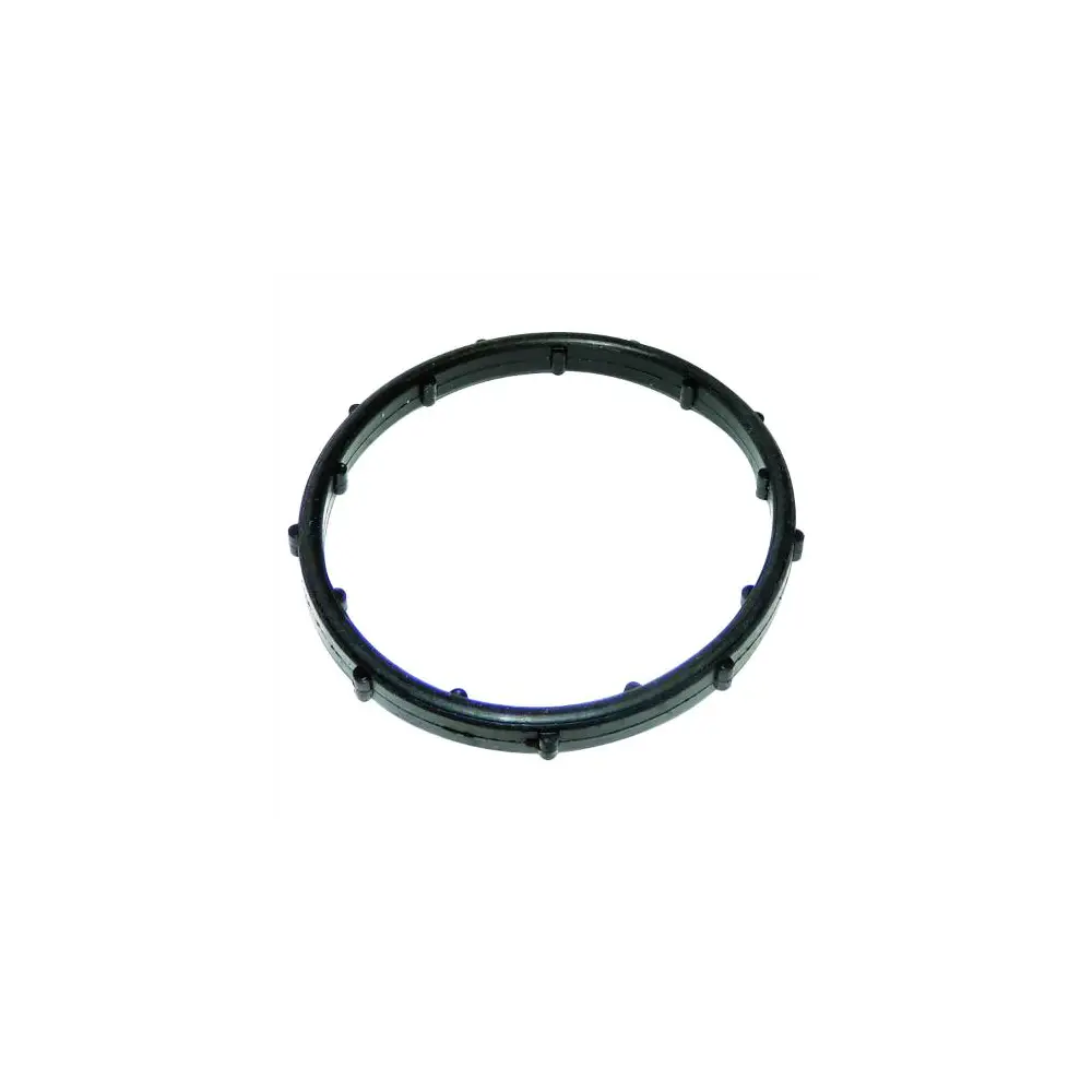 Thermostat Seal - CRO5184894AA